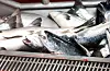 Det er von om gode lakseprisar også i 2022. Illustrasjonsfoto: Gorm Kallestad / NTB / NPK