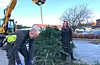 Julegran