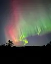 @arnatveit Trengar ikkje noe filter engang