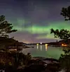 @oddgeir_talle Nordlys, lenge siden sist jeg har sett det nå. Lyngholm. #vestavindsveio #sveiomidtileio #lyngholmen #buavåg #nordlys #auroraborealis #sveio
