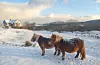 Bilder fra Hoien på Tjernagel i dag 23. November. Det blir meir snø, ei byge er på veg over fjorden. Foto: Brit Oddrun Stuve