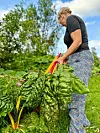 Hagen bognar av fargar og planter. Mangold er til dømes ypparleg i wok.