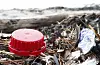 Mikroplast finst i dag over alt, i hava, i drikkevatn og i lufta me pustar inn. Me finn også mikroplast i kroppen til menneske og dyr. Foto: Terje Pedersen / NTB / NPK