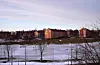 ODirektoratet for samfunnstryggleik og beredskap (DSB) vil ikkje fjerne kravet om å ha skorstein i nye hus. Foto: Vidar Ruud / NTB / NPK