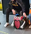 Her er også prototypen på ein robot som var med i vurderinga.