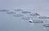 Fiskeriminister Bjørnar Skjæran har komme med si vurdering av produksjonsområda for fiskeoppdrett i Noreg. Her er eit anlegg i Sjona på Helgelandskysten. Dette området får auke produksjonen. Foto: Gorm Kallestad / NTB / NPK