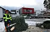 – Årringane i treet avslører at dette er eit hurtigvoksande tre, og har difor lettare for å knekka, seier Mariusz Buryj i Sveio kommune. Her er treet klargjort til å reisast opp igjen.