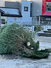 Julegrana på Sveiotorget fekk seg ein knekk i stormen.
