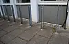 …. og slik ser det ut i dag, halvannan månad etter den første varmtvassbehandlinga.
