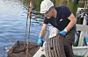 Verksemda eSEA Marine avsluttar i desse dagar oppryddinga på Eikeland.