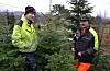 Kristen Bergmål går inn i sin 30. sesong som juletreseljar. For han og sonen Jon Bergmål (t.v.) er desember ei travel tid, men først og fremst er det å selja juletre ein triveleg jobb, forsikrar dei to som hjelper folk å finna det perfekte juletre.