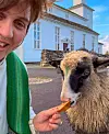 Sokneprest Trude-Christina Helgesen Halvorsen tek selfie med sauen André framfor ei kvit trekyrkje.