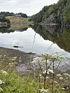 Skogkledd innsjø med speglingar, steinstrand og ville blomar i framgrunnen.